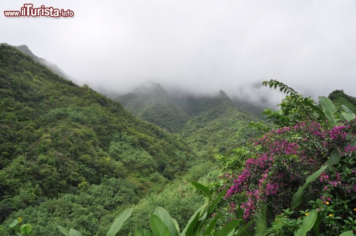 Immagine Il rigoglioso interno di Tahiti in Polinesia Francese