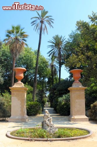 Immagine Il Giardino Botanico di Palermo fa parte del Dipartimento di Scienze Botaniche dell'Università. Sorge accanto a Villa Giulia sin dal 1786 e ospita oltre 12 mila specie di piante diverse, tra cui ninfee rare, vari tipi di bambù, un'altissima Araucaria e tante palme esotiche. L'Orto rivestì un ruolo fondamentale per i botanici dell'Ottocento, che grazie al suo clima mite vi poterono studiare piante di origine tropicale ancora poco note - © ArTono / Shutterstock.com