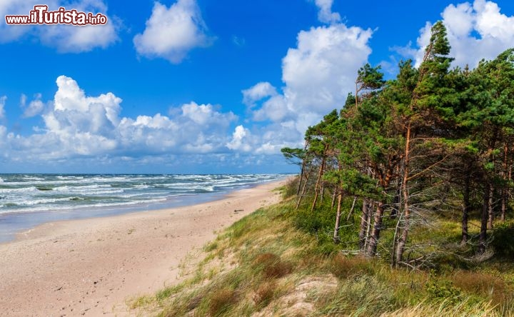 Immagine Il Mar Baltico a Palanga: spiagge, foreste di conifere, per una full immersion nella natura della Lituania - © Max Topchii / Shutterstock.com