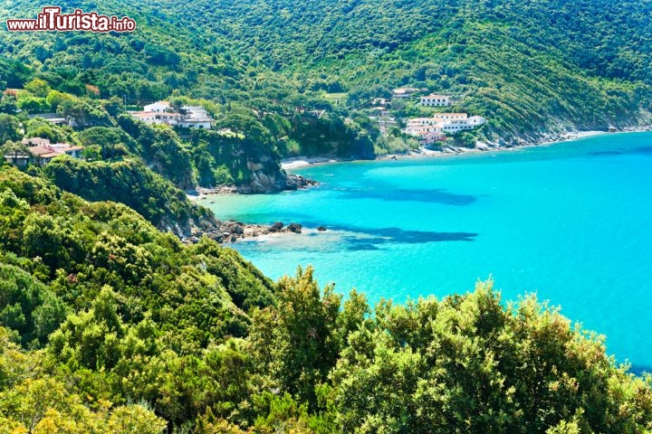 Immagine Il mare dell'Isola d'Elba (provincia di Livorno, Toscana) nel 2013 si è meritato una delle Bandiere Blu che ogni anno vengono assegnate dalla FEE alle migliori località costiere. Le spiagge sono curate, dotate di servizi efficienti ma anche preservate nella loro naturale bellezza, l'acqua è limpida e i fondali sono perfetti per lo snorkeling, grazie alla flora e alla fauna marina - © Luciano Mortula / Shutterstock.com