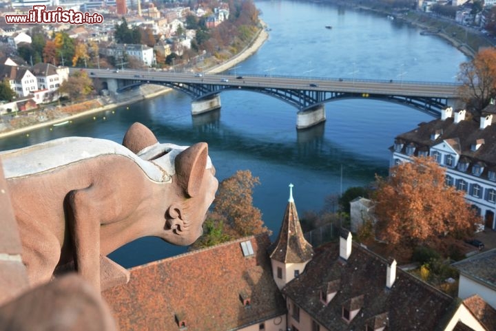 Immagine Vista aerea del Reno a Basilea, Svizzera - Il simbolo segreto di Basilea è il Reno. Per conoscere da un altro punta di vista il fiume si può scegliere un tour on boat che accompagna alla scoperta dell'animata metropoli svizzera. Le crociere sul fiume permettono di ammirare città e porto oppure le chiuse che da Basilea giungono sino a Rheinfelden © Capricorn Studio / shutterstock.com