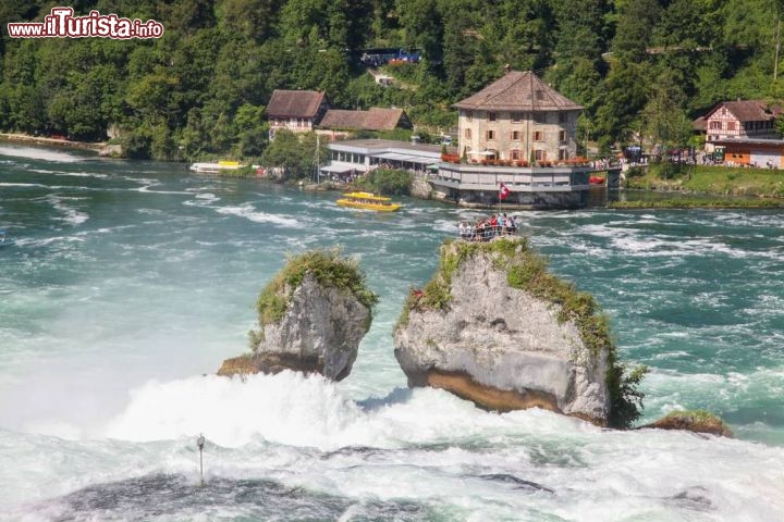 Immagine Le cascate del Reno a Sciaffusa, sono le più estese d'Europa. Con un'ampiezza di 150 metri e un'altezza di 23 metri, d'estate si infrangono sulle rocce 600 m³ di acqua al secondo. - © MAHATHIR MOHD YASIN / Shutterstock.com