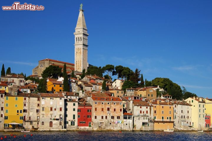 Immagine Il borgo storico di Rovigno in Istria, Croazia - © Igor Plotnikov / Shutterstock.com