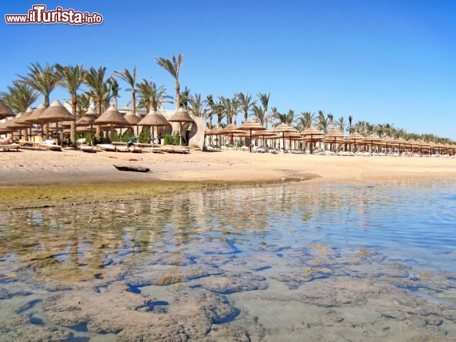 Immagine Il limpido mar Rosso a Sharm el Sheikh, Egitto  - © Marcin-linfernum / Shutterstock.com