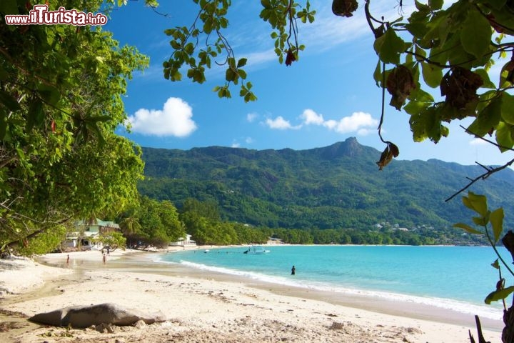 Immagine Il mare cristallino di Beau Vallon Seychelles  - © chbaum / Shutterstock.com