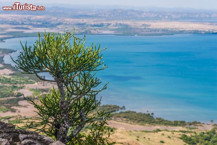 Immagine Il mare del nord Madagascar è caratterizzato da vegetazione bassa, con alcune specie endemiche, tipiche della baia di Diego Suarez  - © Pierre-Yves Babelon / Shutterstock.com