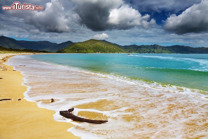 Immagine Il mare e una spiaggia selvaggia del Parco nazionale Abel Tasman in Nuova Zelanda - © Pichugin Dmitry / Shutterstock.com