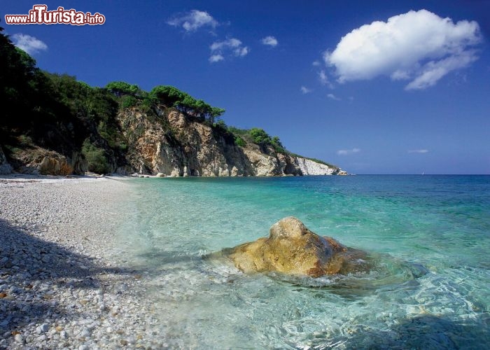 Immagine Il mare limpido e cristallino di Cala dei Frati, una delle baie più spettacolari dell'isola d'Elba - © Roberto Ridi