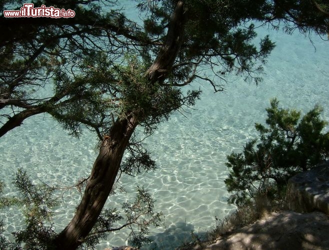 Immagine Il mare limpido di Ogliastra in Sardegna richiama ogni anno migliaia di turisti - © Monica Mereu