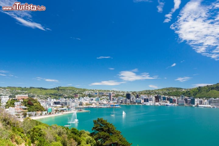 Immagine Nella Baia di Wellington, Nuova Zelanda, il mare turchese è invitante ma piuttosto freddo: nonostante la protezione del golfo, si tratta pur sempre dell'acqua dell'Oceano Pacifico. I bagnanti non mancano, ma c'è chi preferisce una confortevole barca a vela - © Martin Dworschak / Shutterstock.com