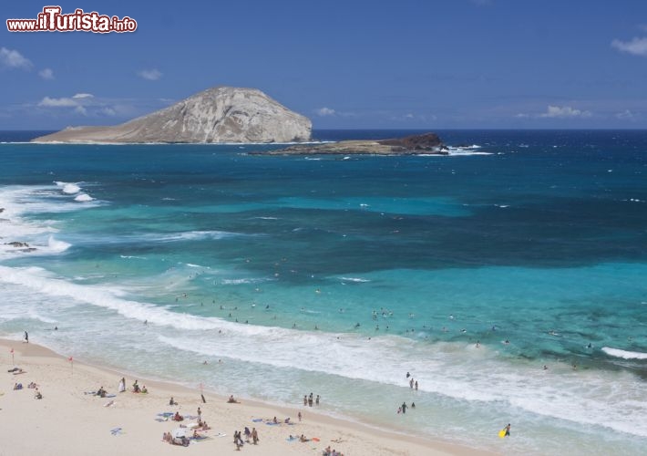 Immagine Il mare limpido di una spiaggia a Oahu, Isole Hawaii USA  - © Juancat / Shutterstock.com