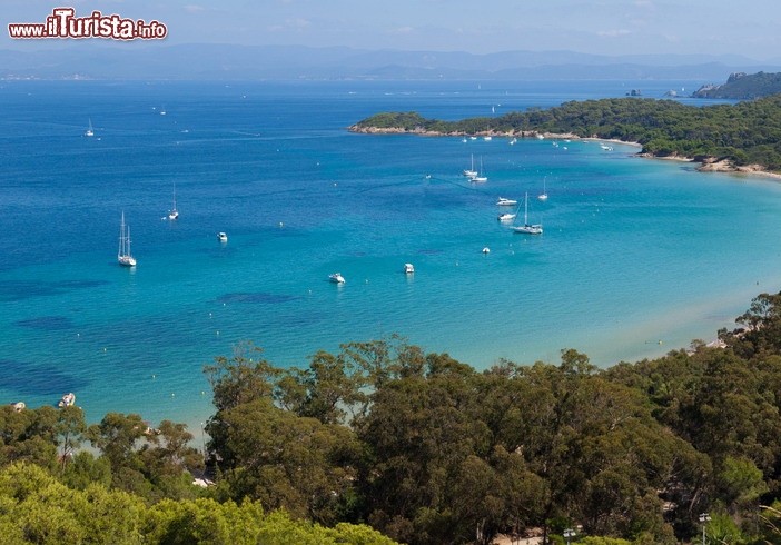 Immagine Il mare turchese della Provenza sull'isola di Porquerolles - © Samuel Borges Photography / shutterstock.com