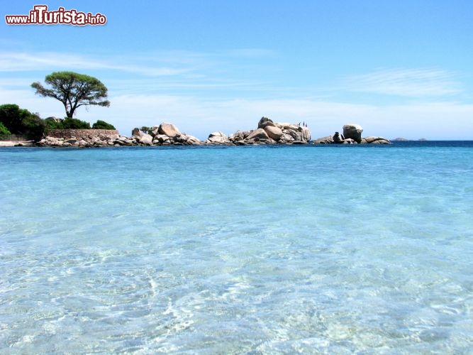 Immagine Il mare turchese della spiaggia della Palombaggia Porto Vecchio Corsica - © Myrtilleshop / Shutterstock.com