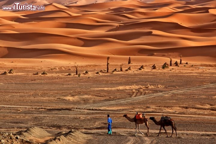 Immagine Il meraviglioseo mare di sabbia Erg Chebbi: siamo nel Sahara del Marocco, vicino a Merzouga. Nonostante le apparenze questo è uno degli Erg più piccoli del deserto del Sahara, pochi chilometri quadrati, un francobollo di sabbia rispetto agli erg algerini, libici o il Gran Mare di Sabbia egiziano - © Alex Andrei / Shutterstock.com