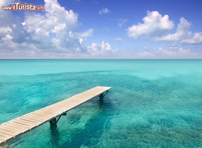 Immagine Quando il mare è quello di Formentera e la cornice è quella della Playa Illetas, nel nord dell'isola, allora anche un semplice molo di legno diventa un trampolino verso l'infinito. Qui, nel paradiso delle Baleari, il turchese dell'acqua e del cielo fanno dimenticare la vita di sempre - © holbox / Shutterstock.com