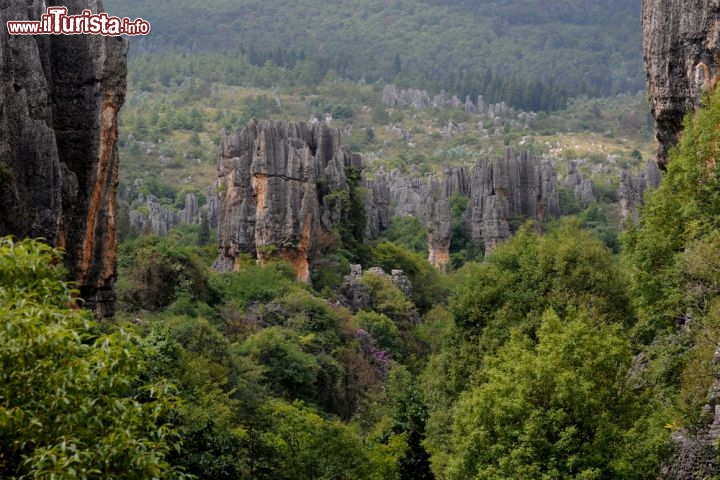 Immagine Il paesaggio della Lizijing stone forest, la foresta di pietra di Shilin. Siamo nella provincia di Yunnan a circa 120 km da Kunming, la capitale - © Marc van Vuren / Shutterstock.com