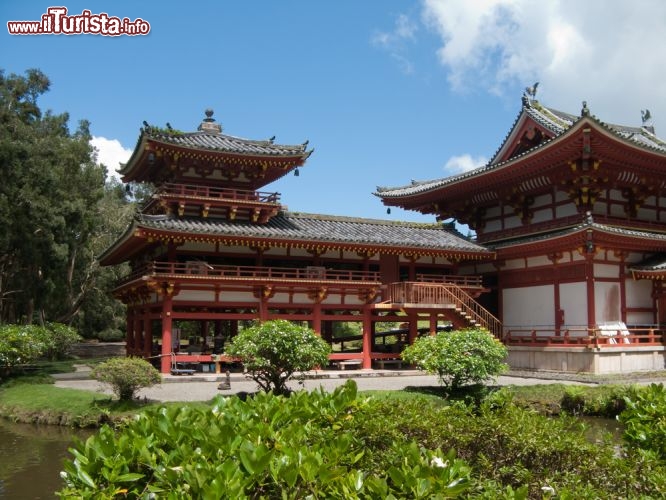 Immagine Il tempio buddista di Byodo-in a Oahu Hawaii  - © vasen / Shutterstock.com