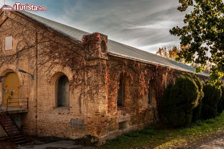 Immagine Il vecchio teatro di Timisoara, la città che si trova all'estremità occidentale della Romania  - © gagyeos / Shutterstock.com