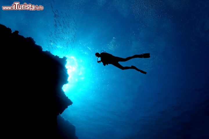 Immagine Immersioni subcaquee a Cozumel: questa isola del Messico, lungo la Riviera Maya, è famosa per le sue acque estremamente limpide, ideali sia per scoprire i segreti dei fondali con le bomobole, oppure semplicemente praticando lo snorkeling. A cozumel è anche possibile nuotare con i delfini - © Brian Lasenby / Shutterstock.com