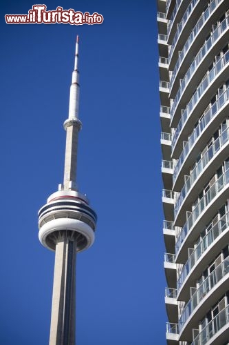 Immagine La inconfondibile silouhette della Torre CN in centro a Toronto Canada - ©Stephen Mahar / Shutterstock.com