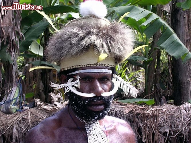 Immagine Indonesia west Papua uomo dani con zanne di cinghiale - Foto di Giulio Badini / I Viaggi di Maurizio Levi
