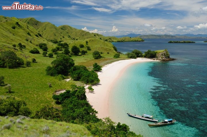 Immagine Indonesia, mar di Flores: una spiaggia del  Komodo National Park, che ospita al suo interno diverse specie animali e floreali, oltre che i celebri Draghi di Komodo, i giganteschi varani dell'isola - © RCH - Fotolia.com