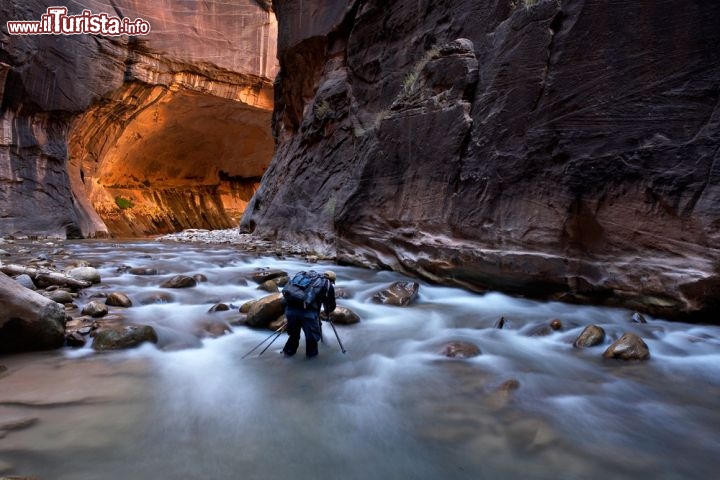 Immagine Ingresso alle Zion Narrows, o Gole di Zion, nel Zion National Park dello Utah (USA). L'esplorazione delle gole è tra le più gettonate nella stagione estiva, a partire dal Tempio di Sinawava, e può essere affrontata in un'unica tratta di 12 ore oppure in due giorni, fermandosi in campeggio per la notte. In effetti una sosta è consigliata ai meno esperti ed allenati, ma per campeggiare è necessario premunirsi di un permesso presso le autorità del parco - © zschnepf / Shutterstock.com