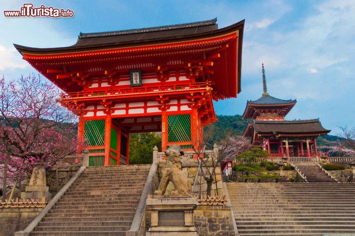 Immagine Ingresso al tempio Kiyomizu di Kyoto, Giappone - Costruito nel 780 dal condottiero militare Sakanoueno Tamuramaro, è il secondo tempio buddista più antico di Kyoto. Il nome Kiyomizu significa acqua pura e si riferisce alle cascate di acqua pura che si trovano all'interno del recinto templare. Nel 1633 venne ricostruito dallo shogun Tokugawa Iemitsu e dal 1944 è stato inserito nella World Heritage List dell'Unesco. Famoso per il palco fatto in legno di cipresso alto circa 23 metri, questo tempio è stato costruito senza l'utilizzo di alcun chiodo ma è assolutamente resistente e in grado di resistere a qualsiasi tipologia di disastro naturale. Oggi questo edificio religioso è visitato da migliaia di turisti ed utilizzato per ospitare sfilate di moda © PKOM / Shutterstock.com