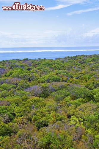 Immagine Interno dell'isola di Mafia in Tanzania - © Kjersti Joergensen / Shutterstock.com