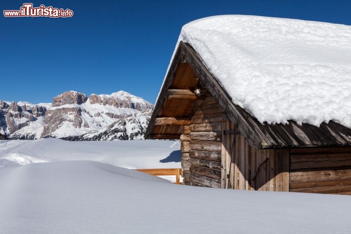 Immagine Inverno sulle Dolomiti: ci troviamo sopra Canazei in Trentino, sullo sfondo le montagne del Gruppo Sella - © Luboslav Tiles / Shutterstock.com