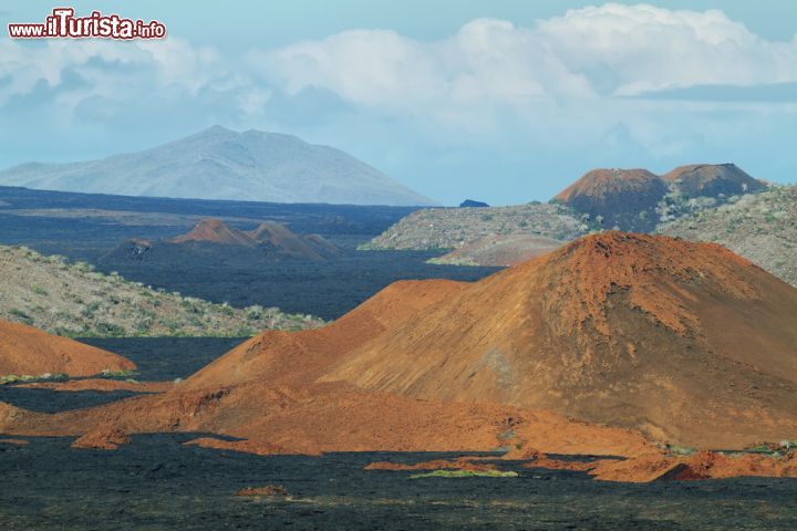 Immagine Un suggestivo panorama dell'Isola Santiago, chiamata anche San Salvador o James, popolata da iguane marine, foche, tartarughe, fenicotteri, squali e delfini oltre a fringuelli di Darwin e falchi delle Galapagos. Da non perdere assolutamente la colata lavica a Sullivan Bay - © Marisa Estivill / Shutterstock.com