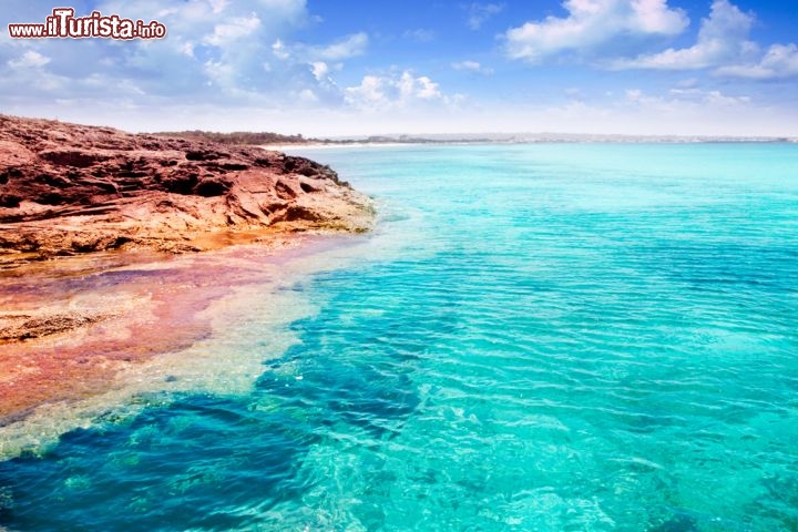 Immagine All'estremità settentrionale di Formentera si trovano le spiagge di Illetes, le più amate e frequentate dai turisti, a soli 150 m dalla vicina Isola di Espalmador. Chioschi per rifocillarsi, ombrelloni e intrattenimenti non mancano, così come i traghetti che le collegano a Espalmador e al porto di La Savina, ma comprendono anche zone selvagge e più solitarie, accessibili solo a piedi - © holbox / Shutterstock.com