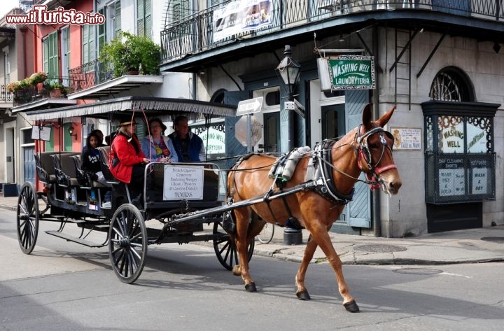 Immagine Itinerario guidato nel centro di New Orleans - C'è chi preferisce perdersi letteralmente fra vie e stradine della città percorrendola a piedi accompagnato solo da una buona guida cartacea alla scoperta dei luoghi più interessanti. Altri turisti prediligono invece i tour in carrozza su cui rivivere in parte le atmosfere di quando in città ci si spostava quotidianamente su calessi trainati da cavalli. In entrambi i casi (a cui si aggiunge anche il tour on boat) la visita di questo angolo di Louisiana sarà ricco di sorprese - © Chuck Wagner / Shutterstock.com