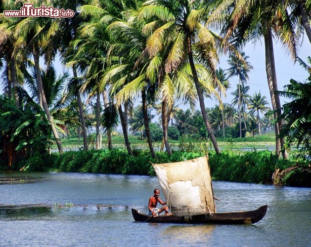 Immagine Kerala le lagune backwaters India - Foto di Giulio Badini