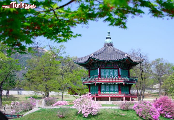 Immagine Il bucoloico Kyoungbok Palace si trova a Seul la capitale della Corea del Sud (Seoul, Korea) - © Pete Niesen / Shutterstock.com
