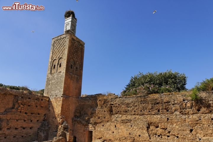 Le foto di cosa vedere e visitare a Rabat