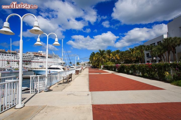 Immagine Scorcio panoramico sul porto di Key West, Florida - Meta delle principali linee di crociera per i Caraibi, Key West accolse per prima nel 1969 la norvegese Sunward sino ad aprire 15 anni più tardi un molo in Mallory Square pur con il disappunto della popolazione locale. Oggi, il porto dell'isola è un'elegante luogo di ritrovo oltre che attracco per navi di grandi dimensioni © Gil.K / Shutterstock.com