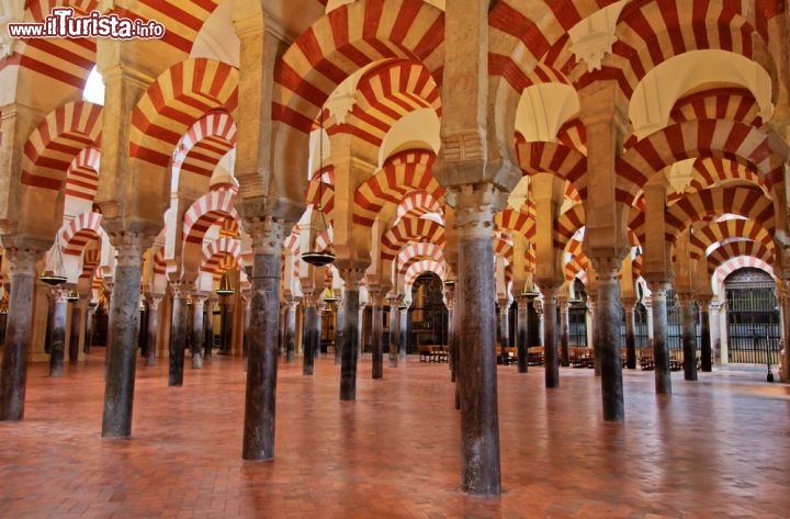 Immagine Una foto del'elegante interno della Mezquita di Cordoba,che cattura in modo magnetico lo sguardo dei visitatori. La grande ex Moschea fa ora parte della Cattedrale di Cordova, in Spagna, e l'interno arabeggiante della Mezquita contrasta fortemente con lo stile barocco dell'altra metà della grande chiesa andalusa - © Barone Firenze / Shutterstock.com 