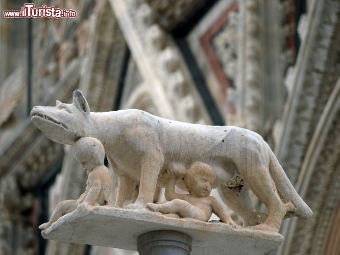 Immagine Accanto alla facciata della Cattedrale di Siena, in Piazza del Duomo, su una colonna c'è la Lupa di Roma che allatta i piccoli Romolo e Remo, simbolo della città e della contrada della Lupa. Secondo la tradizione i fondatori di Siena, Senio e Aschio, erano infatti i figli di Remo - © wjarek / Shutterstock.com