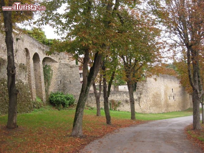 Immagine La cinta muraria d el borgo storico di Lautrec
