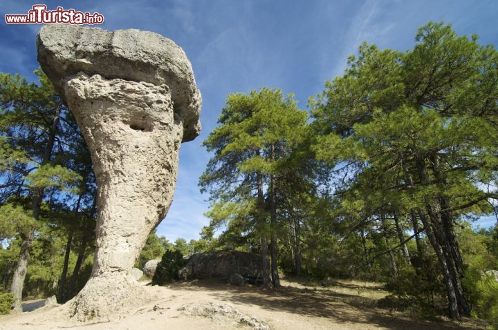 Immagine A breve distanza da Cuenca, nella regione spagnola della Castiglia-La Mancia, sorge il sito naturale detto Ciudad Encantada, ovvero "Città Incantata": 250 ettari di rocce dalle forme bizzarre, modellate nei secoli dal corso del fiume Jùcar e dal vento - © pedrosala / Shutterstock.com