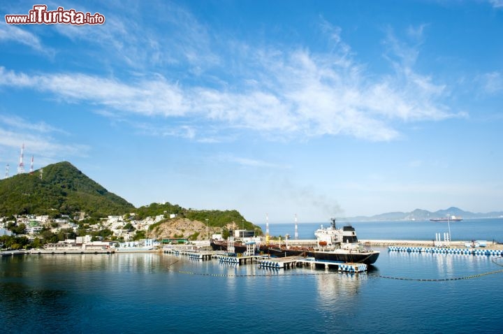 Immagine Il porto di Manzanillo: oltre alla sua funzione turistica, dove fanno scalo anche le navi da crociera, la città conta sul più importante porto commerciale del Messico. dove attraccano navi da carico provenienti da tutto il mondo - © Don Fink / Shutterstock.com