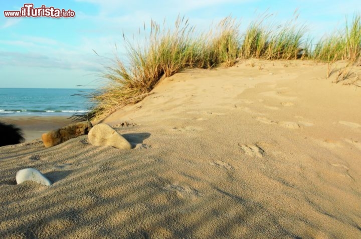 Immagine La costa sabbiosa nei dintorni di Calais in Francia -  © Eric Desaunois