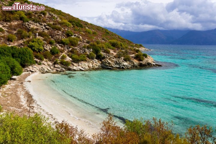 Immagine Mare e monti: il paesaggio incontaminato della Corsica del nord - il Desert des Agriates, territorio nel nord ovest della Corsica, racchiude in sè un miscuglio di elementi naturali davvero invidiabili: dalla montagna al mare, dagli arbusti e gli alberi fitti a un mare limpido come pochi altri, una costa selvaggia e bellissima che rappresenta in pieno l'anima della Corsica. - © Oleksiy Drachenko / Shutterstock.com