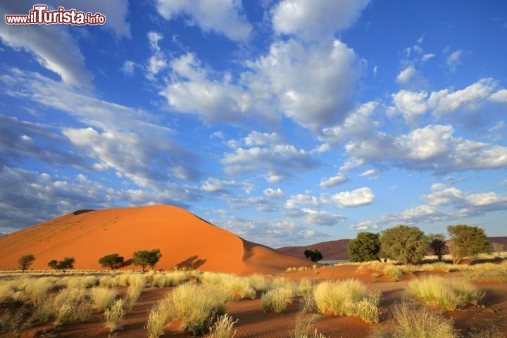 Immagine La grande duna di sabbia di Sossusvlei si trova nel deserto della Namibia - © EcoPrint / Shutterstock.com