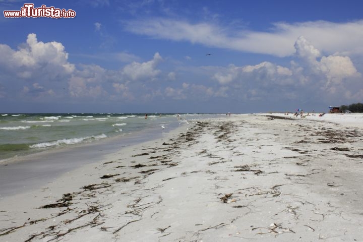 Immagine La grande spiaggia di Lido beach si trova a Sarasota, in Florida - © Serenethos / Shutterstock.com