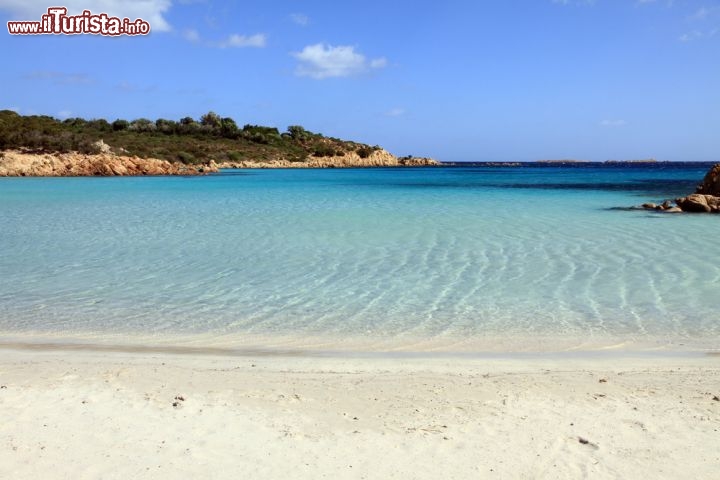 Immagine La spiaggia del Principe, sabbie bianche e mare turchese sulla Costa Smeralda in Sardegna. Ci troviamo in vicinanza della località di Cala di Volpe  - © Ana del Castillo / Shutterstock.com