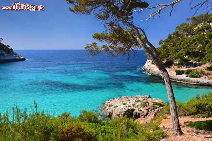 Immagine Cala Mitjaneta, lungo la costa meridionale di Minorca (Isole Baleari, Spagna), è una piccola spiaggia dal sapore selvaggio, raggiungibile a piedi dalla vicina Cala Mitjana. Acqua cristallina e sabbia fine e bianchissima ripagano ampiamente della breve passeggiata - © Pawel Kazmierczak / Shutterstock.com