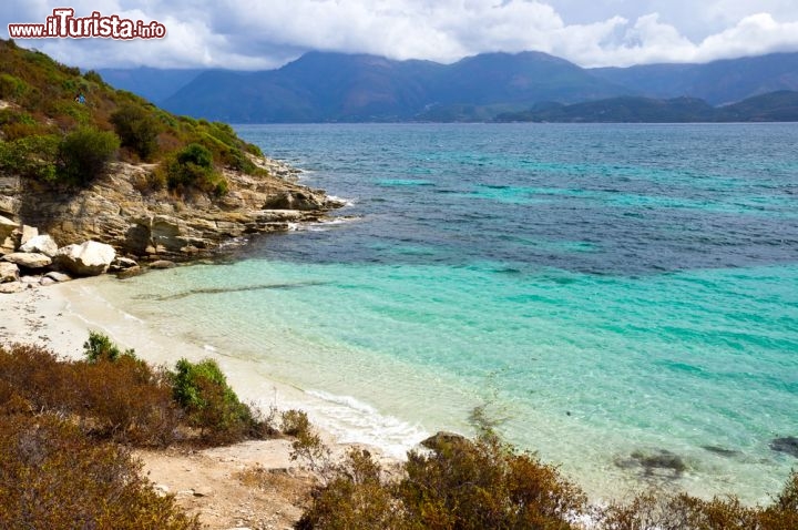 Immagine Veduta dall'alto di Spiaggia Saleccia, Corsica - un mare cristallino e quasi "caraibico" immerso tra le terre selvagge del Deserto delle Agriate, un territorio quasi inesplorato e intatto in cui a dominare è solo la natura: Spiaggia Saleccia è stata definita uno dei luoghi più affascinanti della Corsica. 