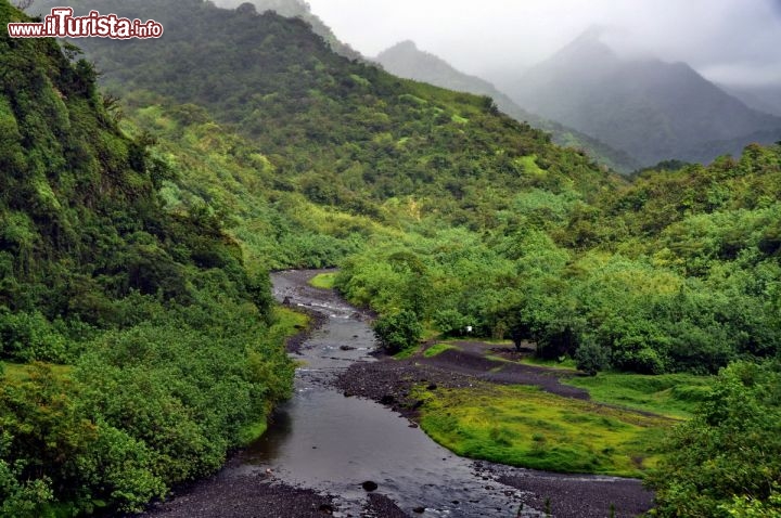 Immagine La valle del fiume Papenoo a Tahiti, stile Jurassic Park